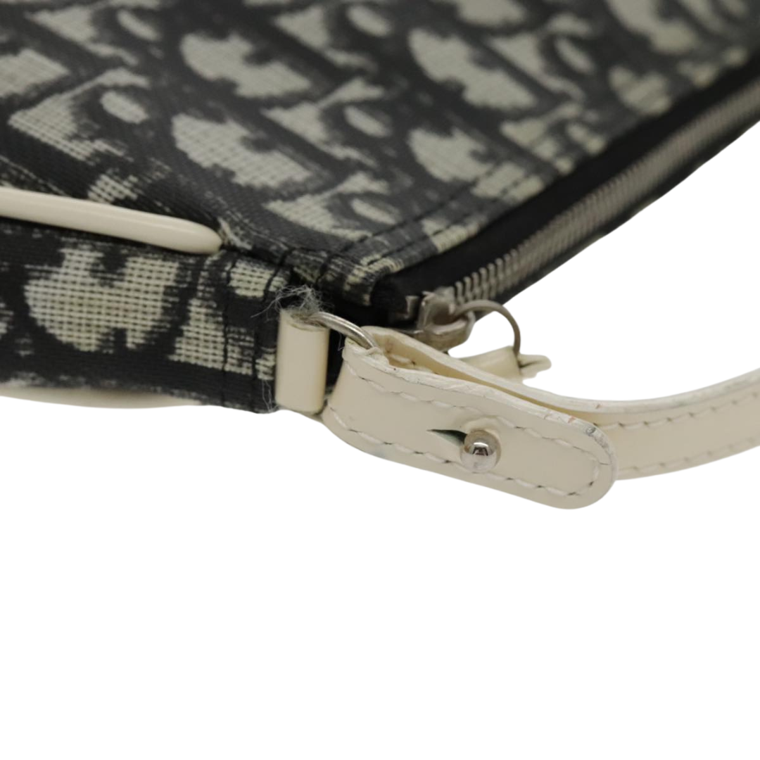 Dior Saddle