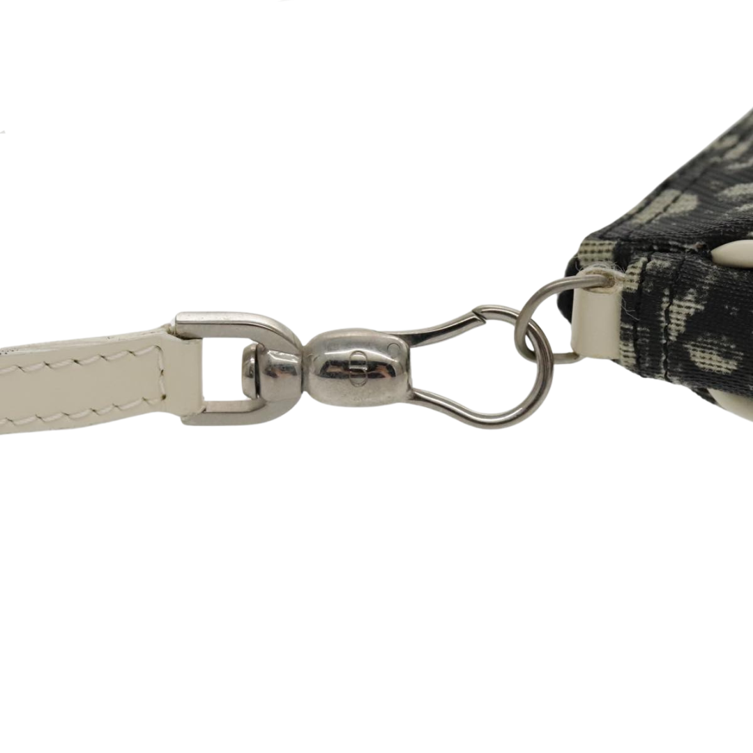 Dior Saddle