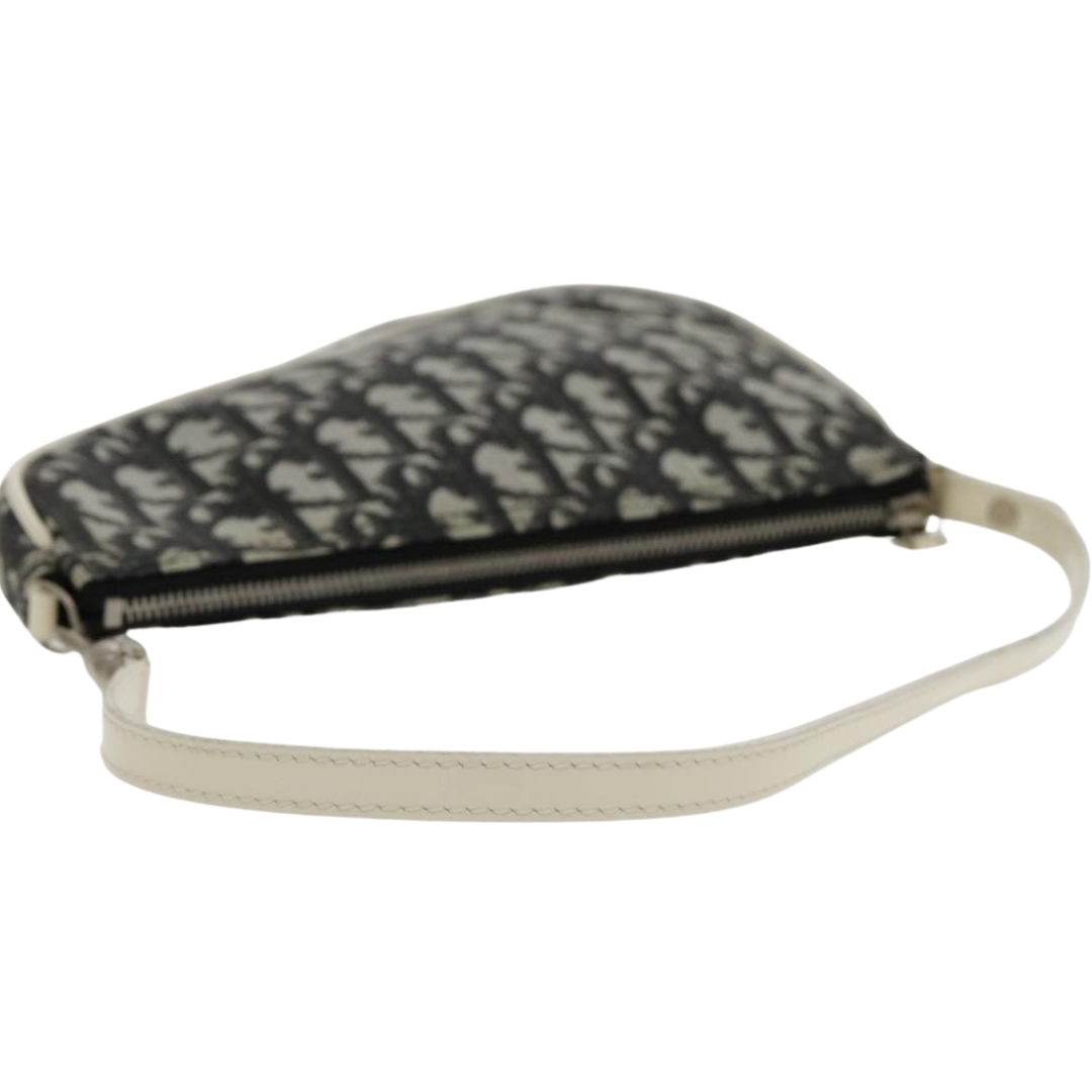 Dior Saddle