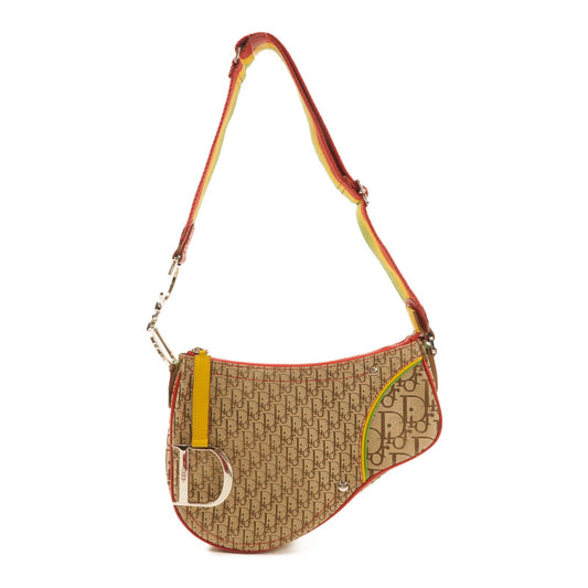 Dior Saddle Rasta