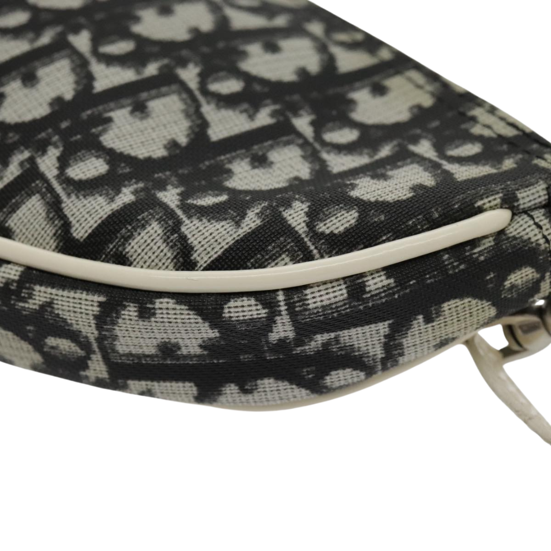 Dior Saddle