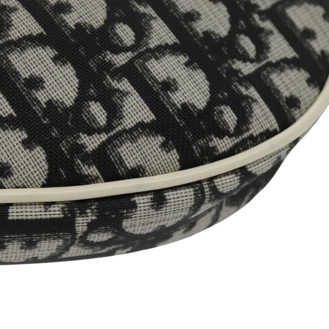 Dior Saddle