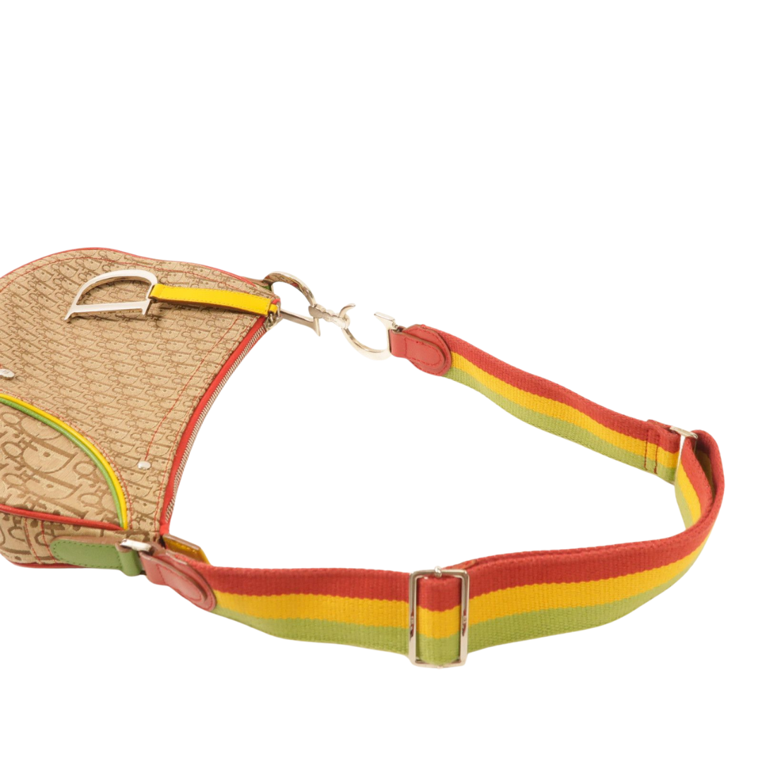 Dior Saddle Rasta