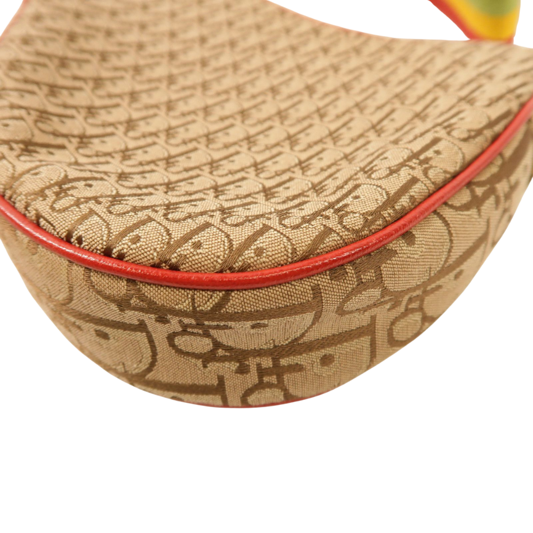 Dior Saddle Rasta
