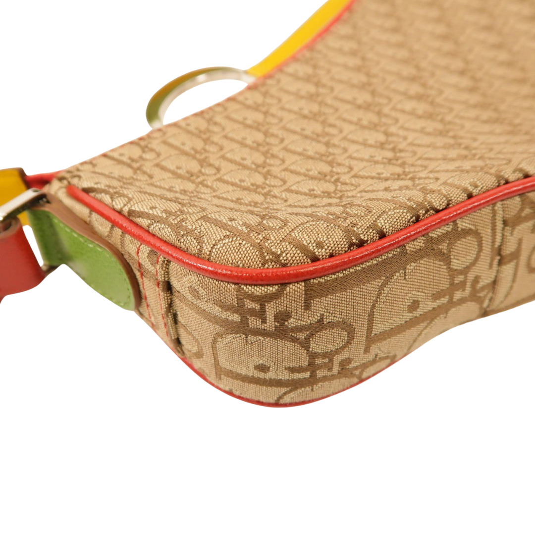 Dior Saddle Rasta