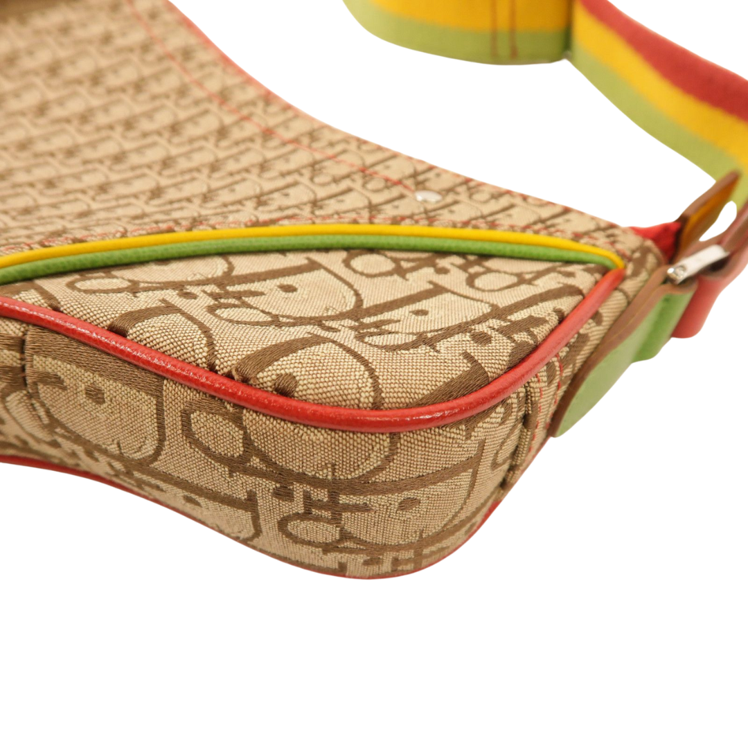 Dior Saddle Rasta