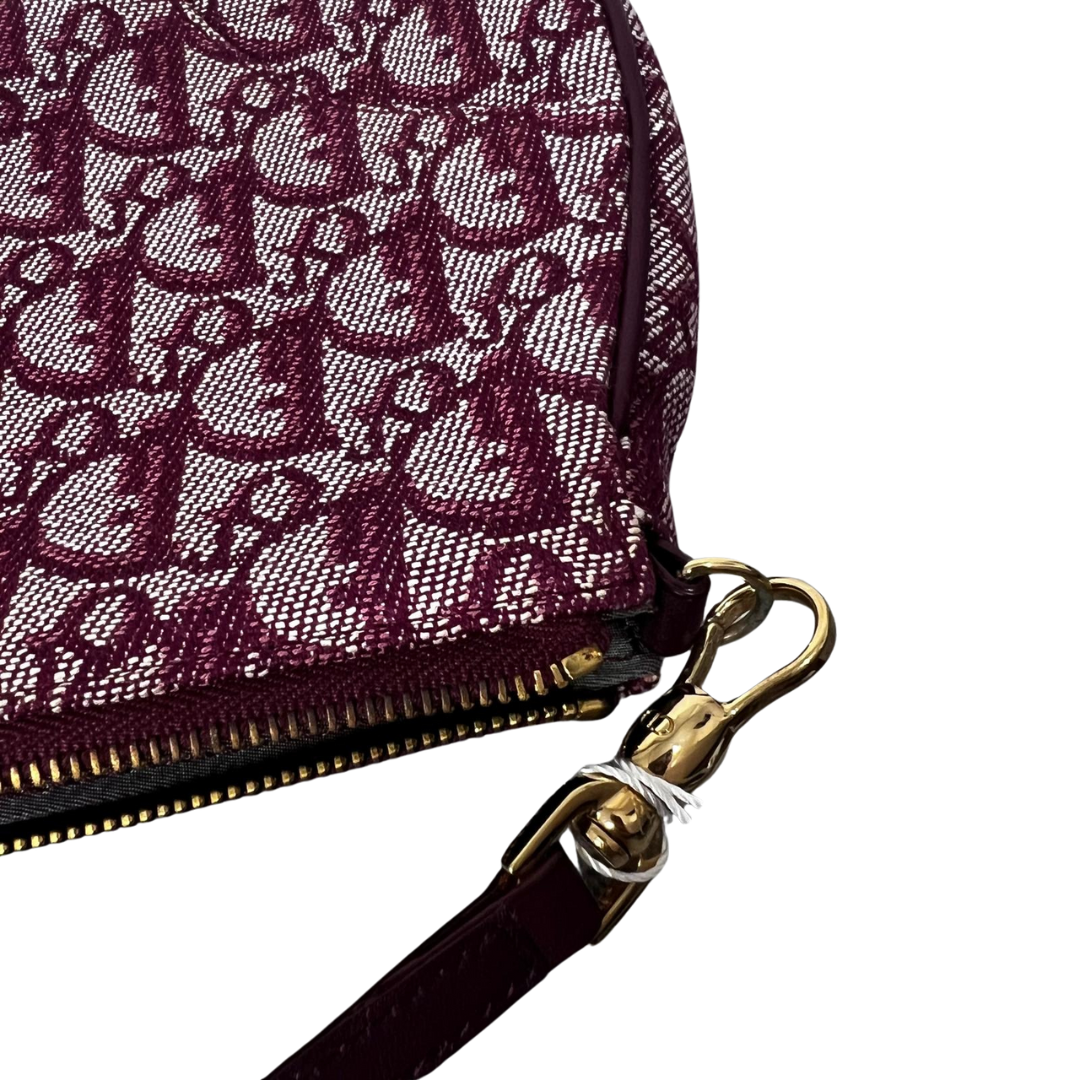 Dior Saddle