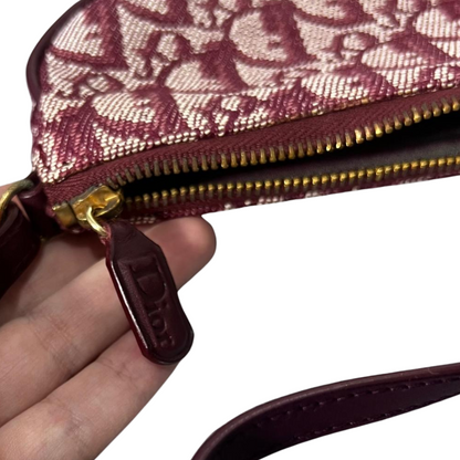 Dior Saddle